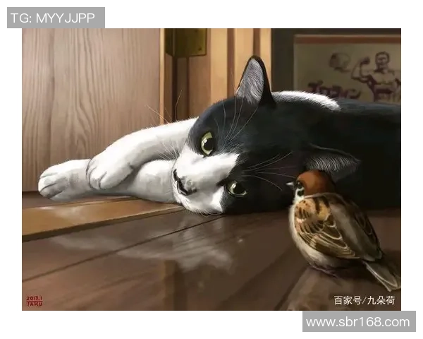 爱猫足球球星的绿茵赛场传奇与温柔日常故事